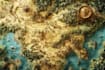 illustrate medieval fantasy and sci fi maps