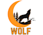 design awesome wolf logo
