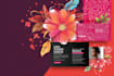 case study design, company flyer or brochure