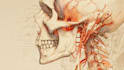 design scientific illustration scientific figure