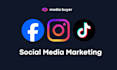 meta and tiktok ads