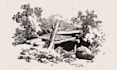 draw creative illustration, line art, vintage engraving sketch