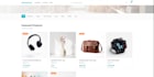 build and launch your professional website in 48 hours