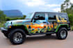 do professional van wrap design