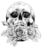 make black and white illustrations