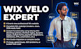 design a professional wix website or wix studio site with velo custom code