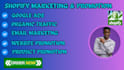 offer professional shopify marketing services