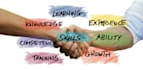 write SEO friendly articles and blog posts