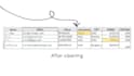 provide fast data cleaning with validation