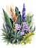 illustrate best botanical illustration