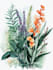 draw a botanical illustration for you