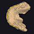 create accurate dental prosthesis designs using exocad