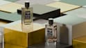 create 3d perfume animation, perfume video for your brand