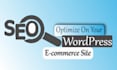 build a professional wordpress e commerce website using a theme and woocommerce