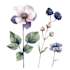 do beautiful botanical plants and flowers