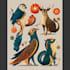 illustrate unique and stylized animal illustrations