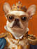 draw your pet into pet portrait illustration