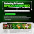do a business flyer within 6 hours