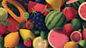 draw realistic plants, vegetables, fruits