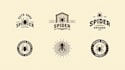 make eye catching spider logo only 12 hours