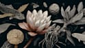 draw realistic scientific and wildlife illustrations