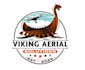 make wonderful viking logo with creative concept