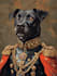 create an epic pet portrait dog portrait cat potrait