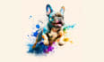 draw illustration continuous line art from your pet