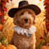 turn your pet photo into a funny talking animated portrait