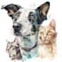 make custom pet portrait, digital pet, pet drawing
