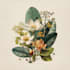 illustrate best botanical illustration