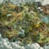 illustrate a fancy fantasy map
