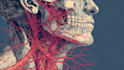 design medical and scientific illustration