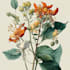 illustrate best botanical illustration