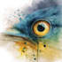draw watercolour illustration for anything