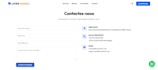 build a professional website and develop custom ai solutions