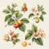 illustrate best botanical illustration