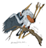create furry and artho character art and design