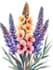 draw a botanical illustration