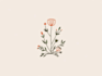 design a unique botanical boho logo
