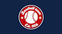 design high quality baseball championship logo