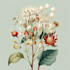best botanical illustration art