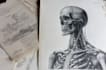 do detailed scientific figures illustrations