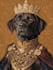 illustrate a pet portrait