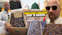 youtube vlog thumbnail design