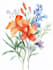 create watercolour botanical illustrations