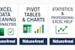 analyze, clean, and visualize your excel data