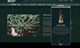 design cannabis, hemp, cbd, and marijuana website