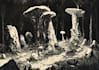 do fantasy landscape illustrations