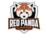 design eye catching panda logo